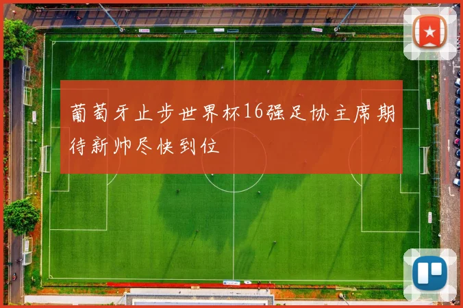 葡萄牙止步世界杯16强足协主席期待新帅尽快到位