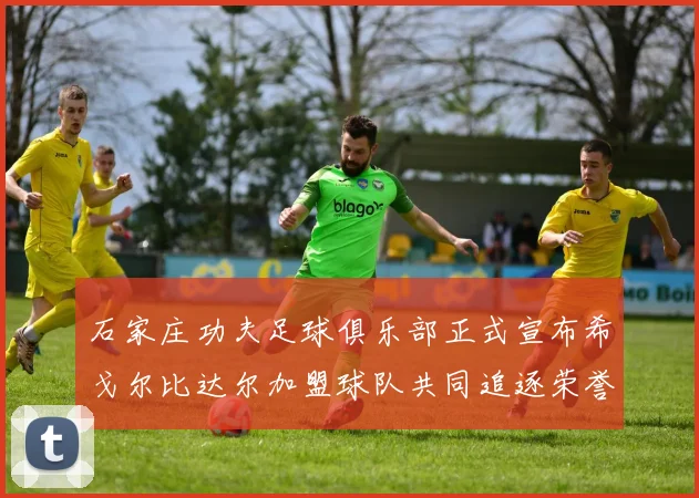 石家庄功夫足球俱乐部正式宣布希戈尔比达尔加盟球队共同追逐荣誉